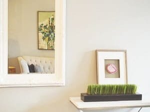 Mirrors Morayfield Window & Glass Repair 5 Mirrors Morayfield